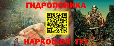 СК Ярославль