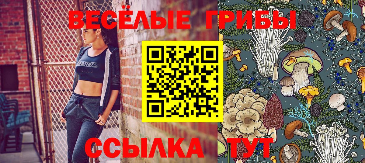 Нововоронеж  Псилоцибиновые грибы GOLDEN TEACHER  Псилоцибиновые грибы GOLDEN TEACHER  Вход с VPN 